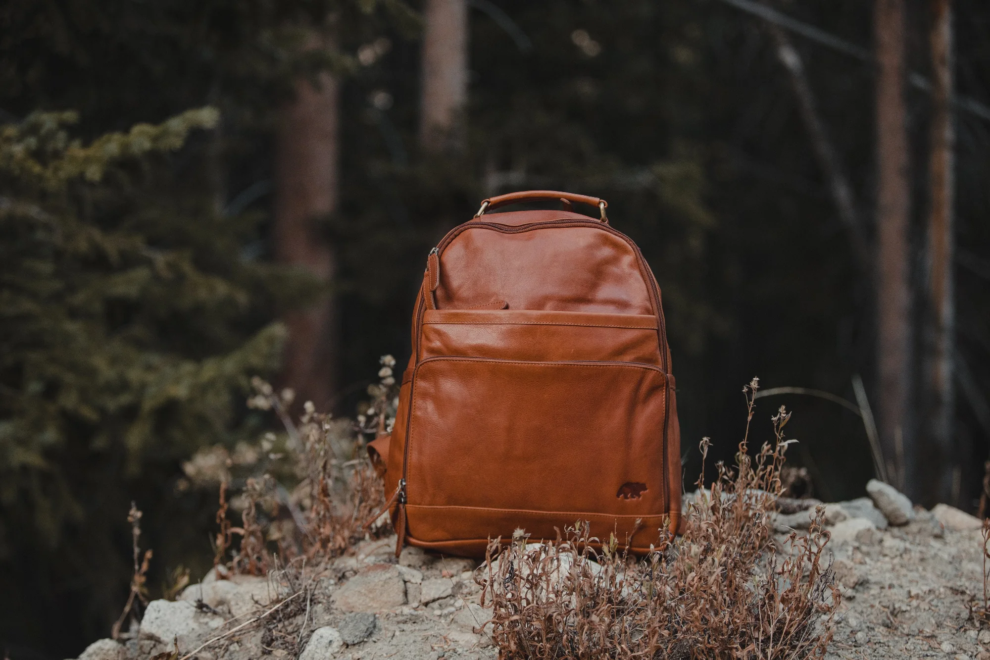 Katmai Leather Backpack - Image 3
