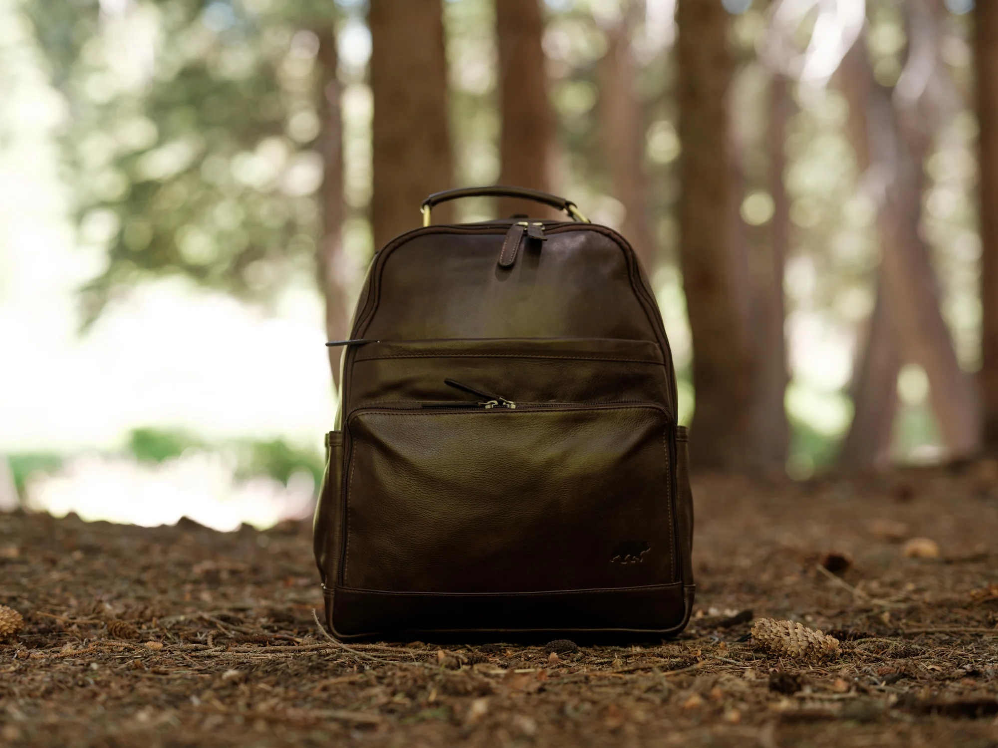 Katmai Leather Backpack - Image 9